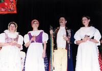 Národní krojový ples