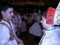 Národní krojový ples FOS 2004