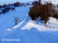 Vyškovec