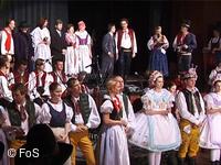 Národní krojový ples 2005