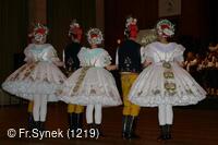 Národní krojový ples