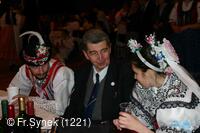 Národní krojový ples