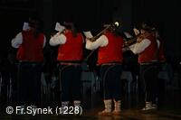 Národní krojový ples