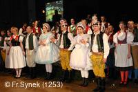 Národní krojový ples