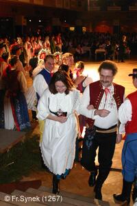 Národní krojový ples