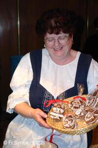 Národní krojový ples