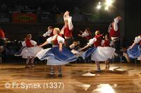 Národní krojový ples