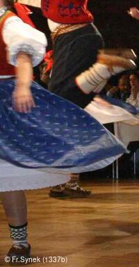 Národní krojový ples