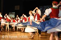 Národní krojový ples