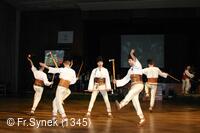 Národní krojový ples