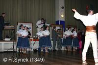 Národní krojový ples