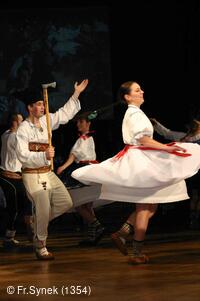 Národní krojový ples