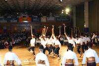 Národní krojový ples