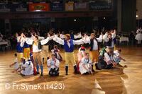 Národní krojový ples