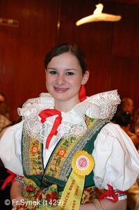 Národní krojový ples