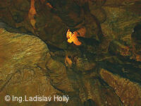 Mladečské jeskyně Chudobín u Litovle