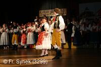 Národní krojový ples