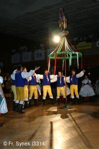 Národní krojový ples