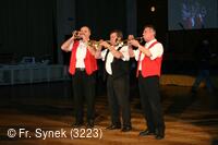 Národní krojový ples