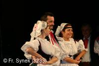 Národní krojový ples