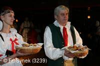 Národní krojový ples