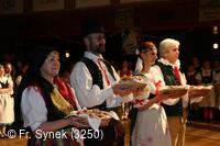 Národní krojový ples