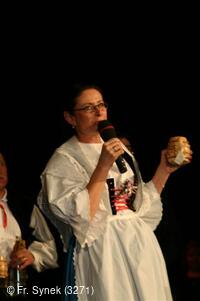 Národní krojový ples