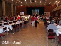 Jihočeské folklorní sdružení