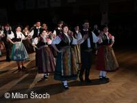 Jihočeské folklorní sdružení