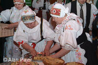 Národní krojový ples