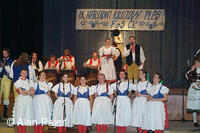 Národní krojový ples