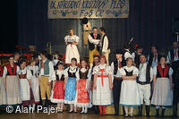 Národní krojový ples