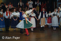 Národní krojový ples