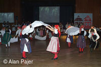 Národní krojový ples