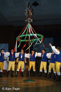 Národní krojový ples