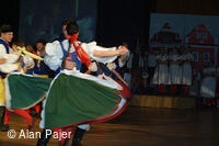 Národní krojový ples