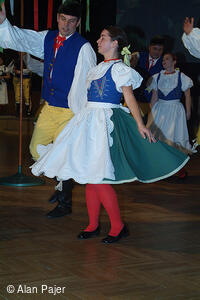 Národní krojový ples