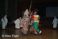 Národní krojový ples