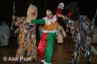 Národní krojový ples