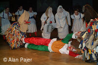 Národní krojový ples