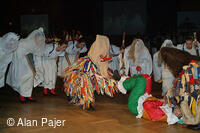 Národní krojový ples