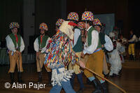 Národní krojový ples