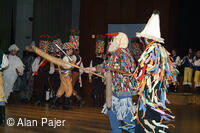 Národní krojový ples