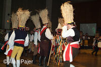 Národní krojový ples