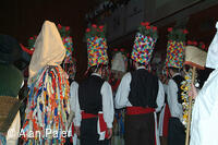 Národní krojový ples