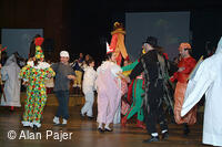 Národní krojový ples