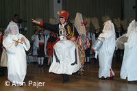 Národní krojový ples