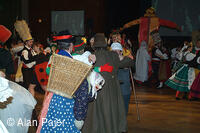 Národní krojový ples