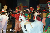 Národní krojový ples