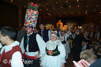 Národní krojový ples